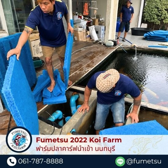 รับล้างบ่อปลาคาร์ฟ